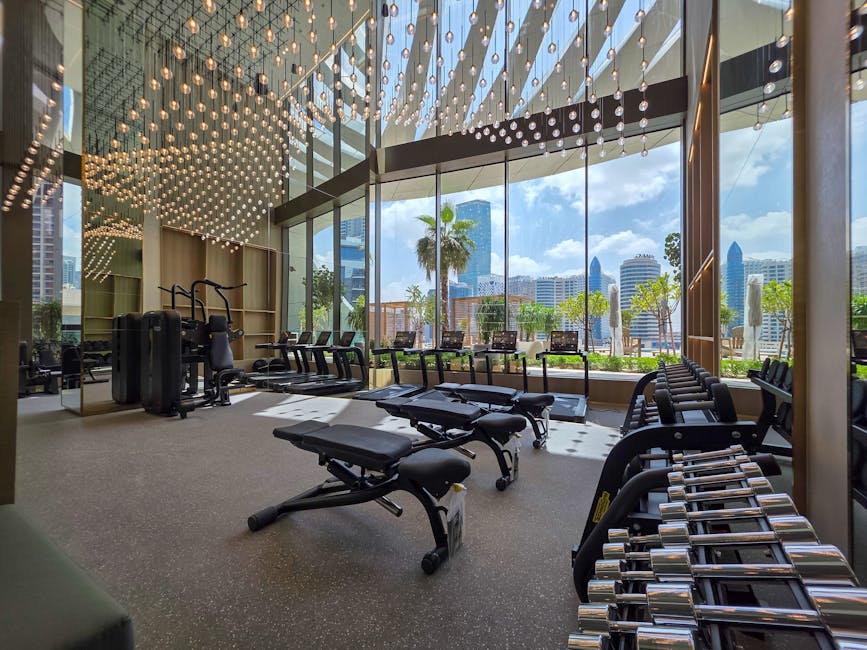 Spacious gym interior with modern equipment, mirrored walls, and large windows overlooking a city skyline.